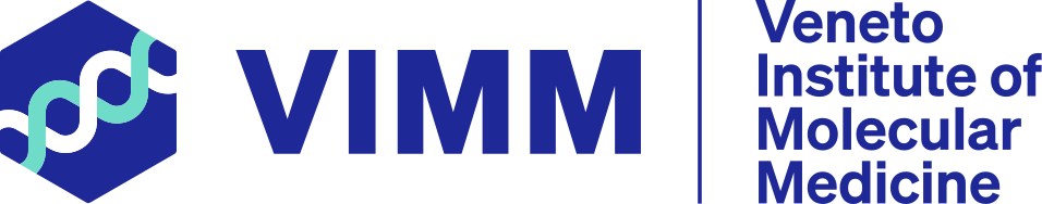 LogoVIMM
